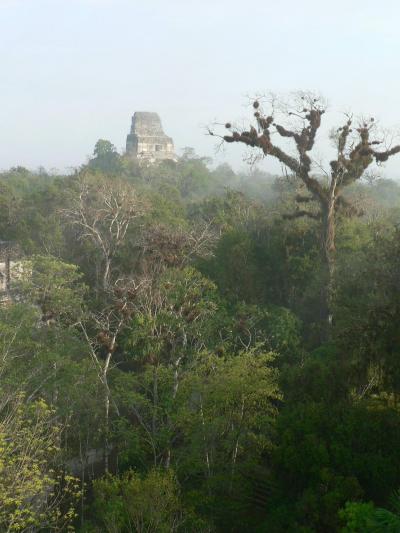 中南米・バックパッカーの旅【５１】 　マヤ文明最大の神殿遺跡　グアテマラのティカル遺跡