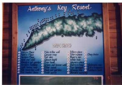 AKRいるかと泳ぐ