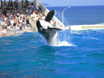 房総半島ぐるり1周ドライブ