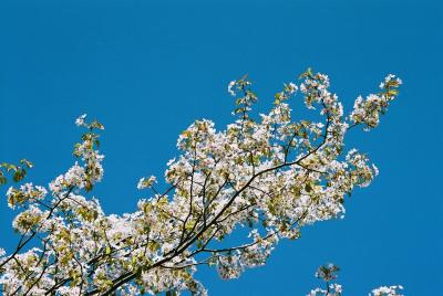 2006年GWの旅《4日目、岩井温泉へ》