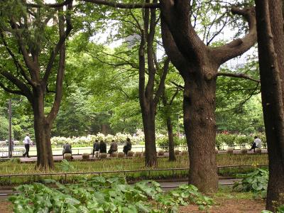 涼を求めて日比谷公園を訪れる