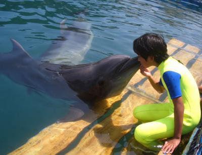 紀伊ハンター!イルカと泳ぐの巻