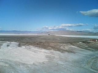 ソルトレイクシティの蚊