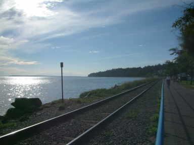 バンクーバーよりバスで行けるアメリカを望める街WHITEROCK