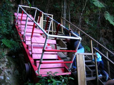 ブルーマウンテンズ。日帰り旅行。