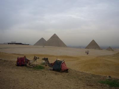 りんと＠Egypt/エジプト Vol.2