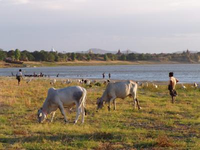 バンコク経由ミャンマー旅行　第２章　バガンの日々　?～学童援助～