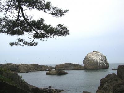 ★三陸海岸縦断ー１　★種差海岸