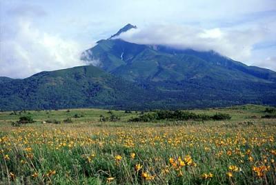 初夏の利尻山 -日本百名山を登る　１-