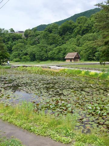 五箇山・白川郷へ女一人旅