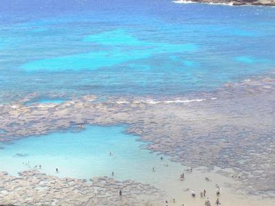 海の生物達に会える場所-Hanauma Bay