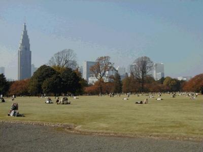 Central Park in Tokyo-新宿御苑