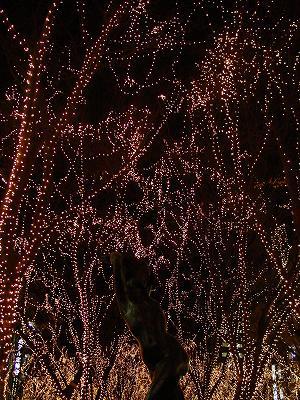 光のページェント2004だったとおもう・・・