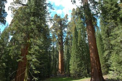 Sequoia and Kings Canyon NP