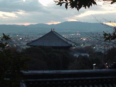 奈良公園と若草山焼き