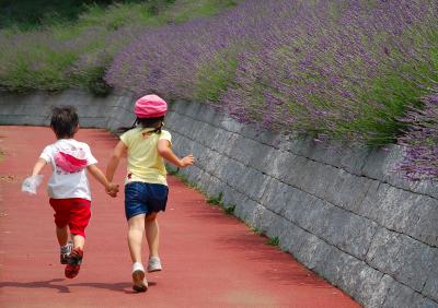 ラベンダーin菖蒲?