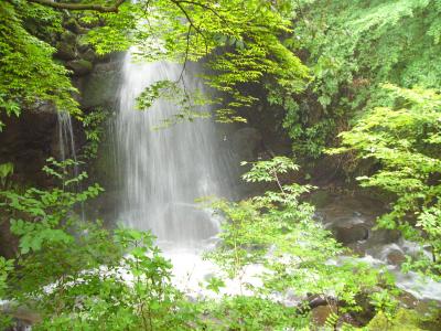 真鶴半島散策と湯河原温泉・日帰りの旅