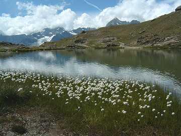スイス旅行記09:ツェルマット山岳ホテル「リッフェルベルグ」