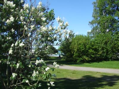 北欧12日間の旅?