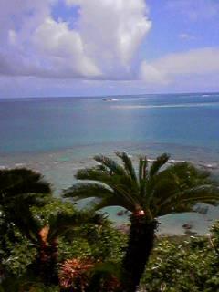 １２０％遠距離恋愛　（沖縄・みーばるビーチ編）