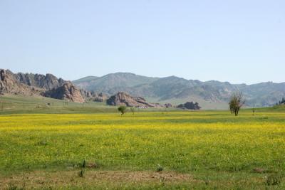 モンゴル大草原の旅 0・・旅いつまでも