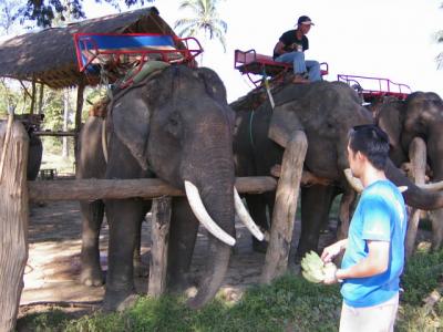 ３年間暮らしたタイ