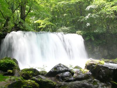 青森県：奥入瀬渓谷