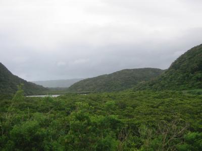 あぁ、憧れの西表島 3