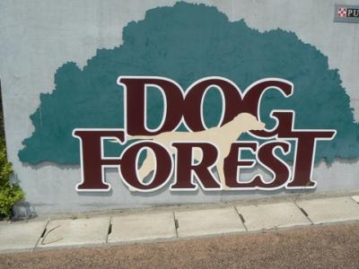 かわいい～＞^_^＜～ドッグフォレスト