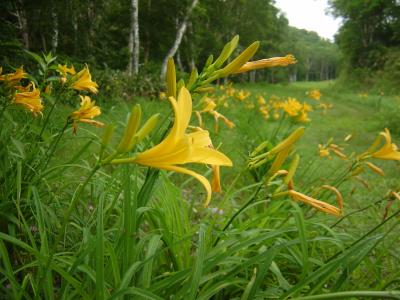 志賀高原、想い出かき混ぜ旅