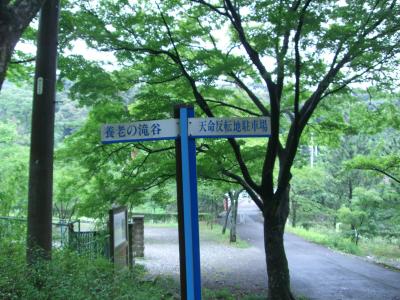 養老公園散策?養老公園