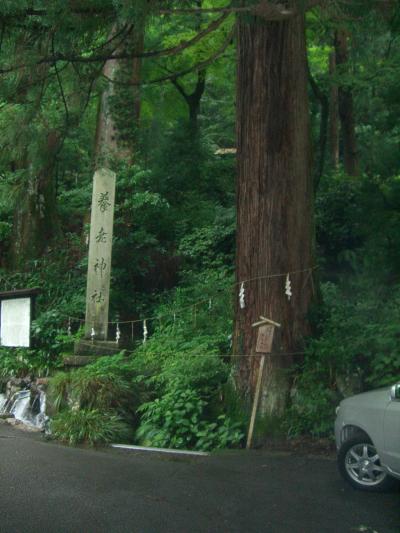 養老公園散策?養老寺・菊水泉