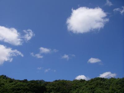 早めに夏休みイン屋久島