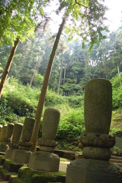 鎌倉散策　～円覚・明月院・東慶・浄智・源氏山・高徳院・長谷寺～