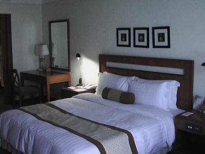 海外子連れ旅第8弾【?】:バンコクのホテル パトゥムアンプリンセス