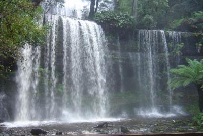 タスマニア州（南部）・マウントフィールド国立公園(Mt. Field National Park)・ハイキングコース