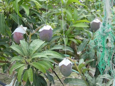 「沖縄／那覇ステイ2006」の旅　7/16編