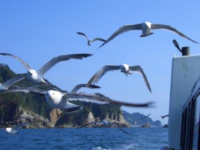 瀬波温泉旅行 (2)　笹川流れ