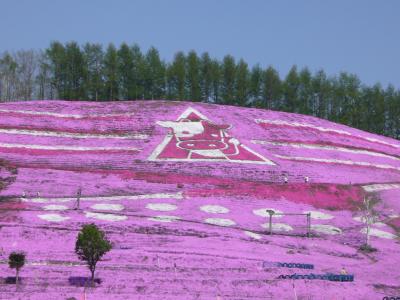 旭山動物園とチューリップ・芝桜の旅