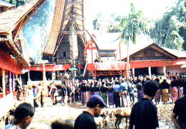 「インドネシア・トラジャの民家」　舟形屋根の高床式住居　　　