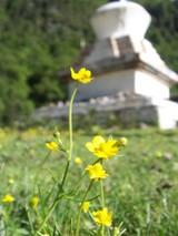 いとしのレイラ＠昆明