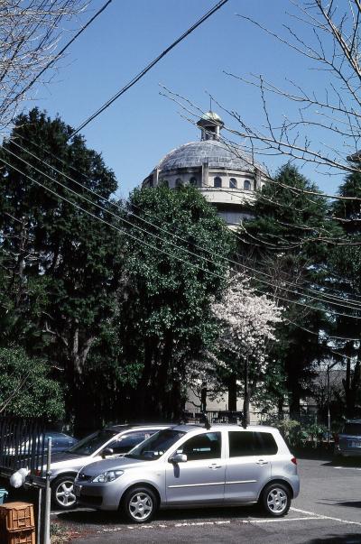 中野探訪　春編