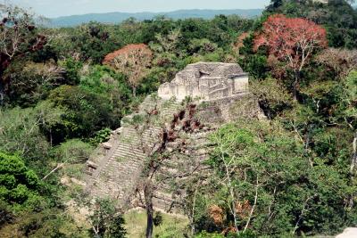 中米旅行　グアテマラ　ティカル観光