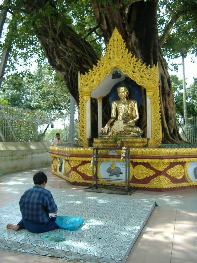 Myanmar -Yangon/Bagan- Part1