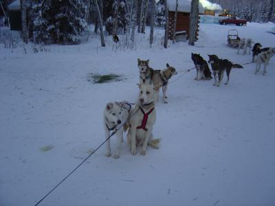 200412 200501 Alaska