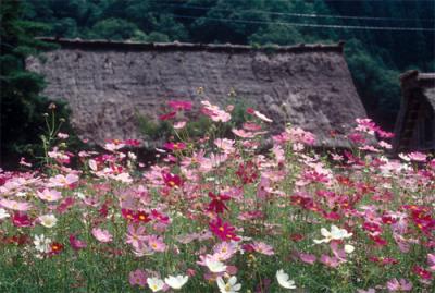 白川郷～五箇山～利賀村