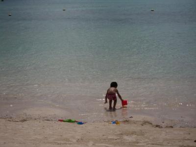 いってこぽんGUAM~BALI islandへ飛ぶ w/ lovely cat, Lynx?