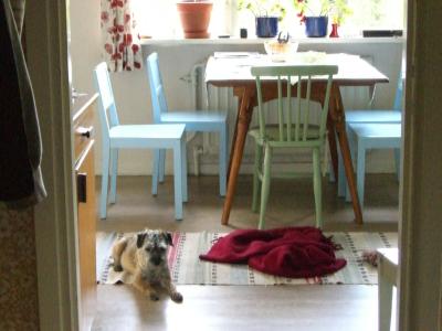 Sweden: スウェーデンの夏休み