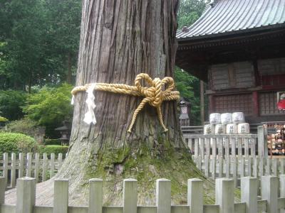 　富士登山　自然豊か　０～６号目