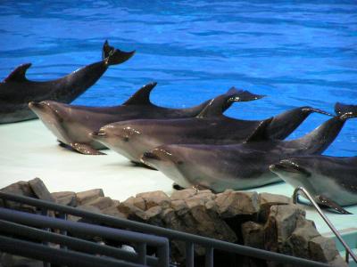 名古屋港水族館